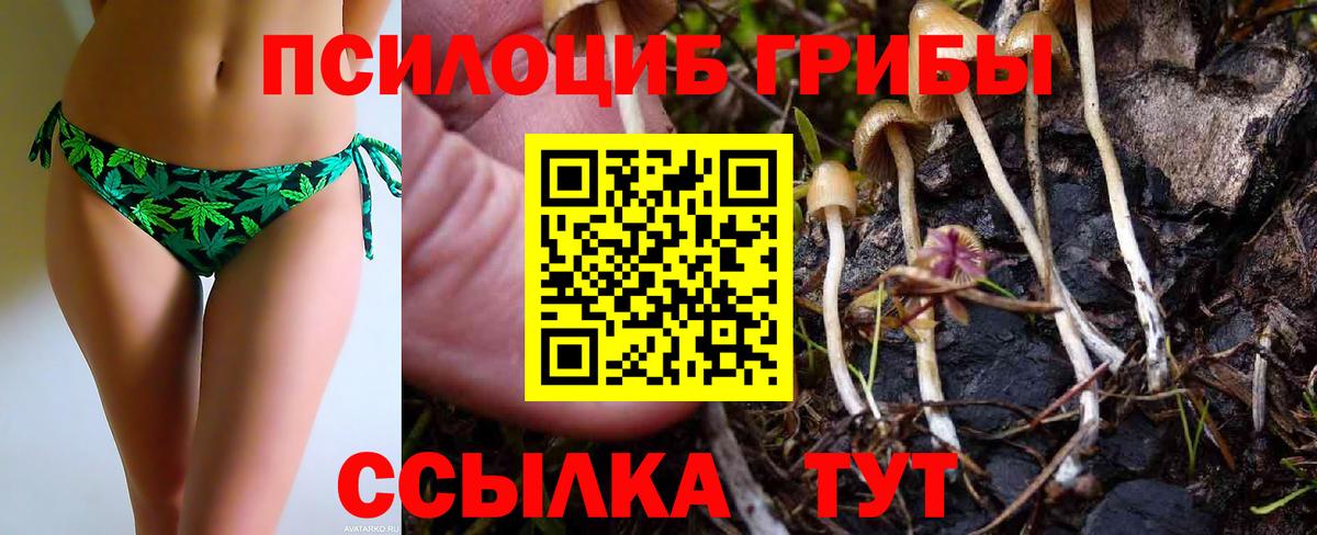 Галлюциногенные грибы мицелий Карачаевск