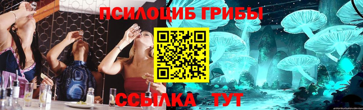Псилоцибиновые грибы Psilocybe  Псилоцибиновые грибы прущие грибы  Вход с VPN  Карачаевск 